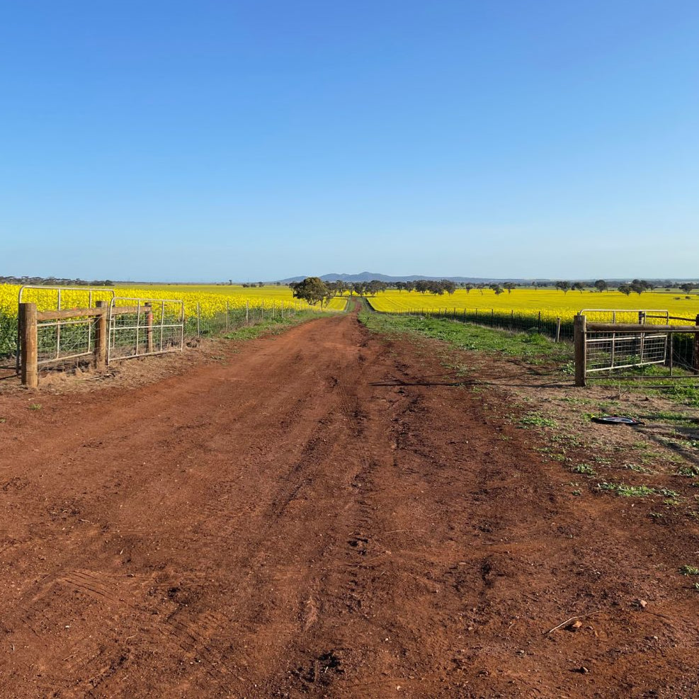 Farm88-Digital-Butcher-Pasture-Fed.jpg