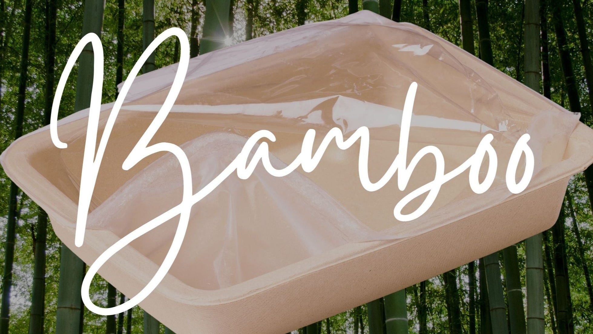 Bamboo product tray with 'Bamboo' text overlay against a bamboo forest background