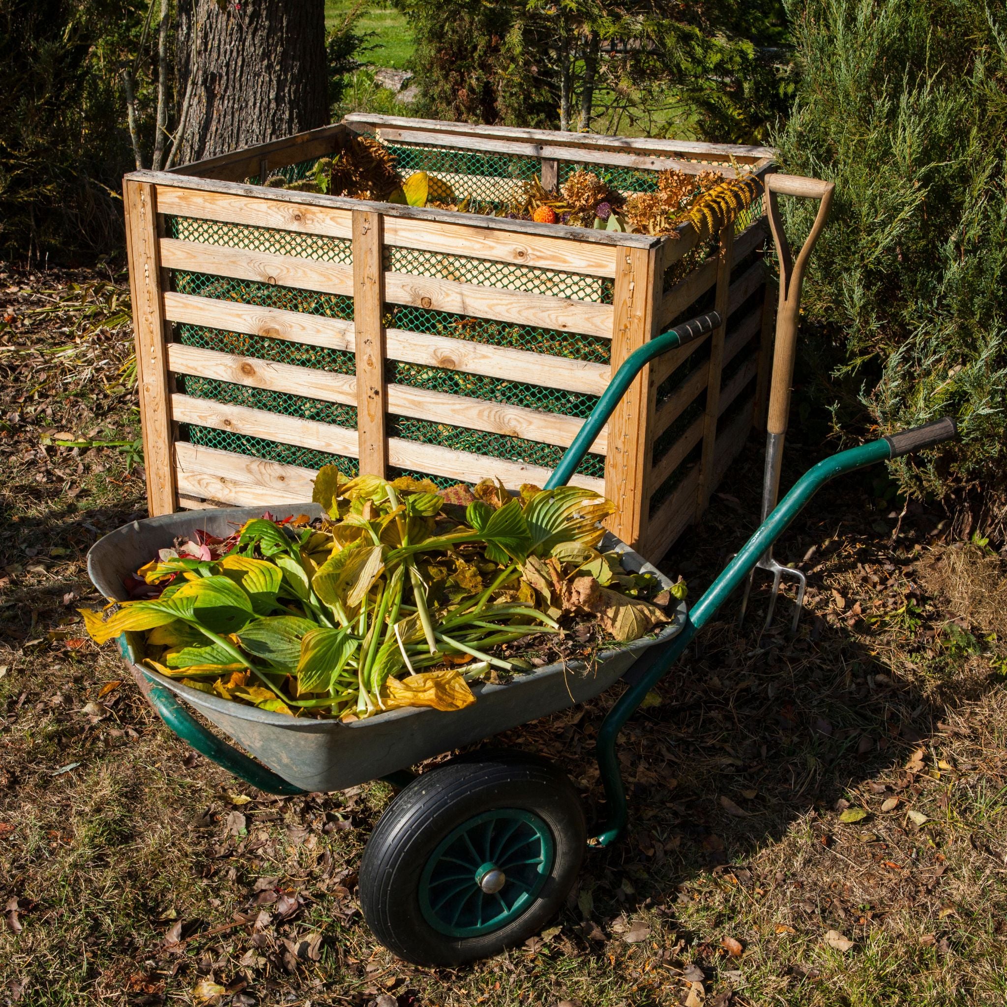 Happy vegetable gardens